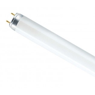 Лампа люминесцентная T8 - OSRAM-СМ L36W 840 PLUS ECO G13 d26x1200 холодный белый 4000K Смоленск - 4008321581419