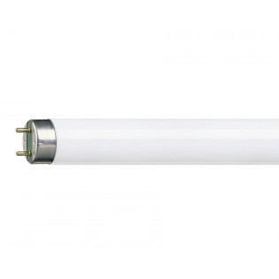 Лампа люминесцентная T8 - Philips MASTER TL-D Super 80 220V 36W/830 G13 3000K 3350lm - 927921083055
