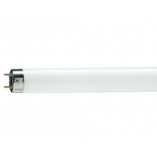 Лампа люминесцентная T8 TL-D 30W/33-640 Philips - 928025403351