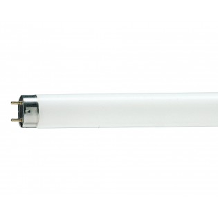 Лампа люминесцентная T8 - Philips MASTER TL-D 90 Graphica 220V 18W G13 5000K 950lm - 928043795081