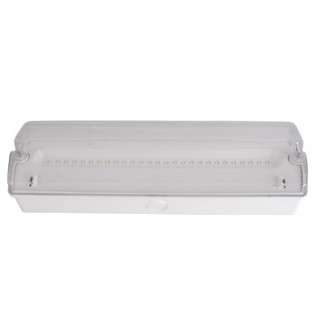 Светильник аварийный e.emerg.500L.led.M.3h.IP65 постоянный 3 часа E.NEXT