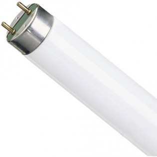Лампа люминесцентная G13 T8 58Вт 3300К E.NEXT