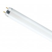 Лампа люминесцентная T8 - OSRAM-СМ L36W 840 PLUS ECO G13 d26x1200 холодный белый 4000K Смоленск - 4008321581419