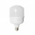 Лампа светодиодная LED Т100-30W 6500K Ecostrum Т100-30W 6500K