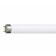 Лампа люминесцентная T8 - Philips MASTER TL-D Super 80 220V 30W G13 6500K 2300lm - 927920586514