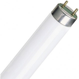 Лампа Osram FL18W LUMILUX L 18W/865 LUMILUX - 4008321581273