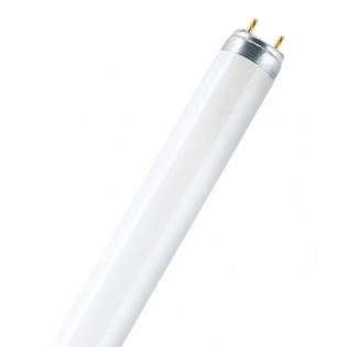 Лампа люминесцентная LUMILUX T8 G13 30W/840 2400lm  4000K (4050300518039) OSRAM 