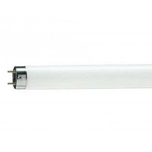 Лампа люминесцентная T8 - Philips MASTER TL-D 90 Graphica 220V 18W G13 5000K 950lm - 928043795081