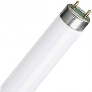Лампа люминесцентная G13 T8 15Вт 6400K E.NEXT