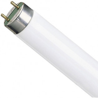 Лампа люминесцентная FLUORA L 18W/77 G13 T8 Osram 4050300004235