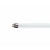 Лампа люмінесцентна T5 - Philips MASTER TL5 High Efficiency 220V 14W G5 4000K 1350lm - 927926084055