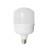 Лампа світлодіодна LED Т100-30W 6500K Ecostrum Т100-30W 6500K