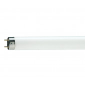 Лампа люмінесцентна T8 - Philips MASTER TL-D 90 Graphica 220V 36W G13 6500K 2100lm - 928044796581