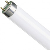 Лампа люмінесцентна L18W/765 G13 T8 Osram