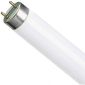 Лампа люмінесцентна NATURA L 36W/76 G13 T8 Osram 4050300010526